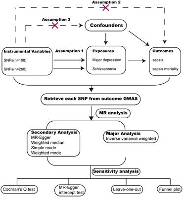 Causal associations between severe mental illness and sepsis: a Mendelian randomization study